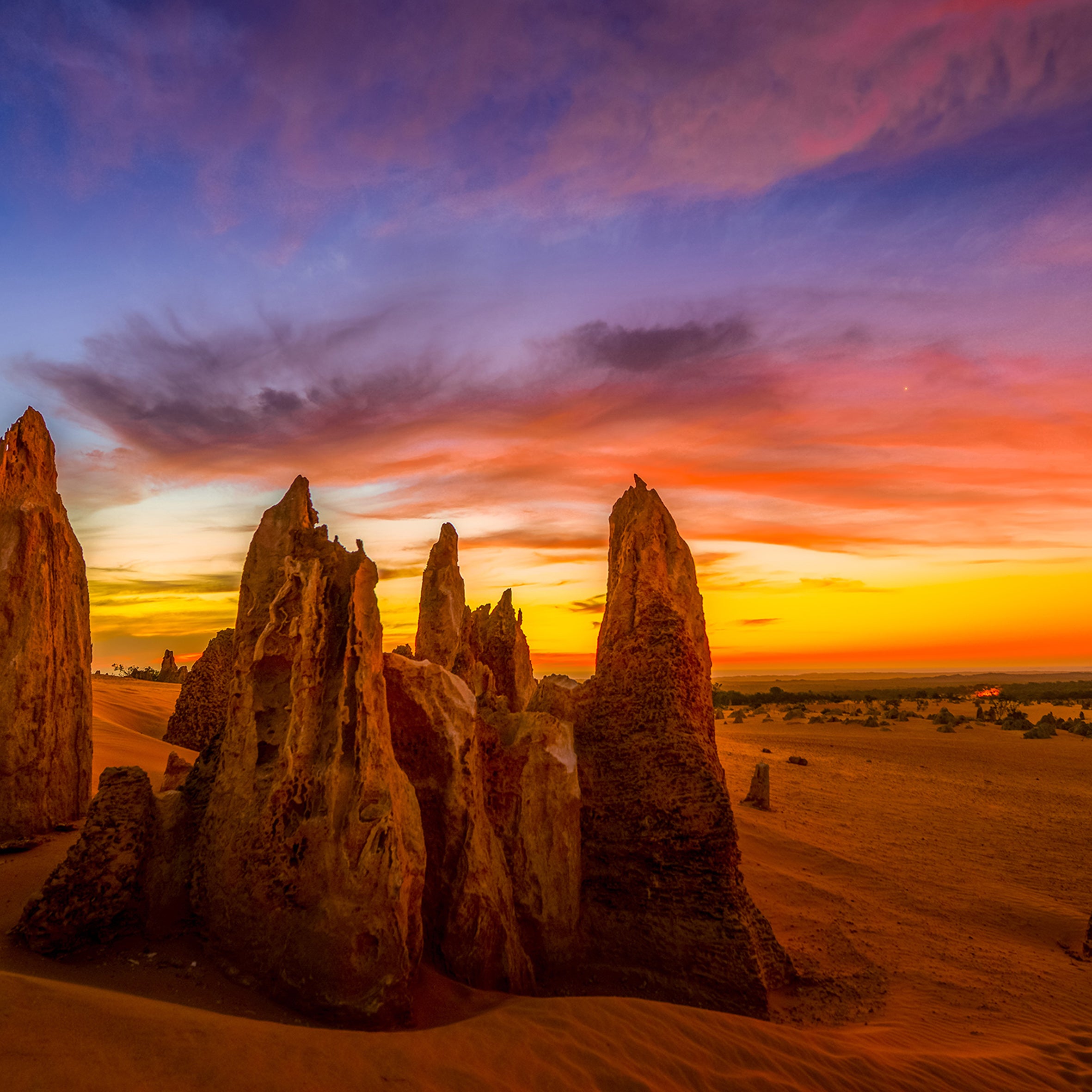 Pinnacles Sunset & Twilight Photography Tours