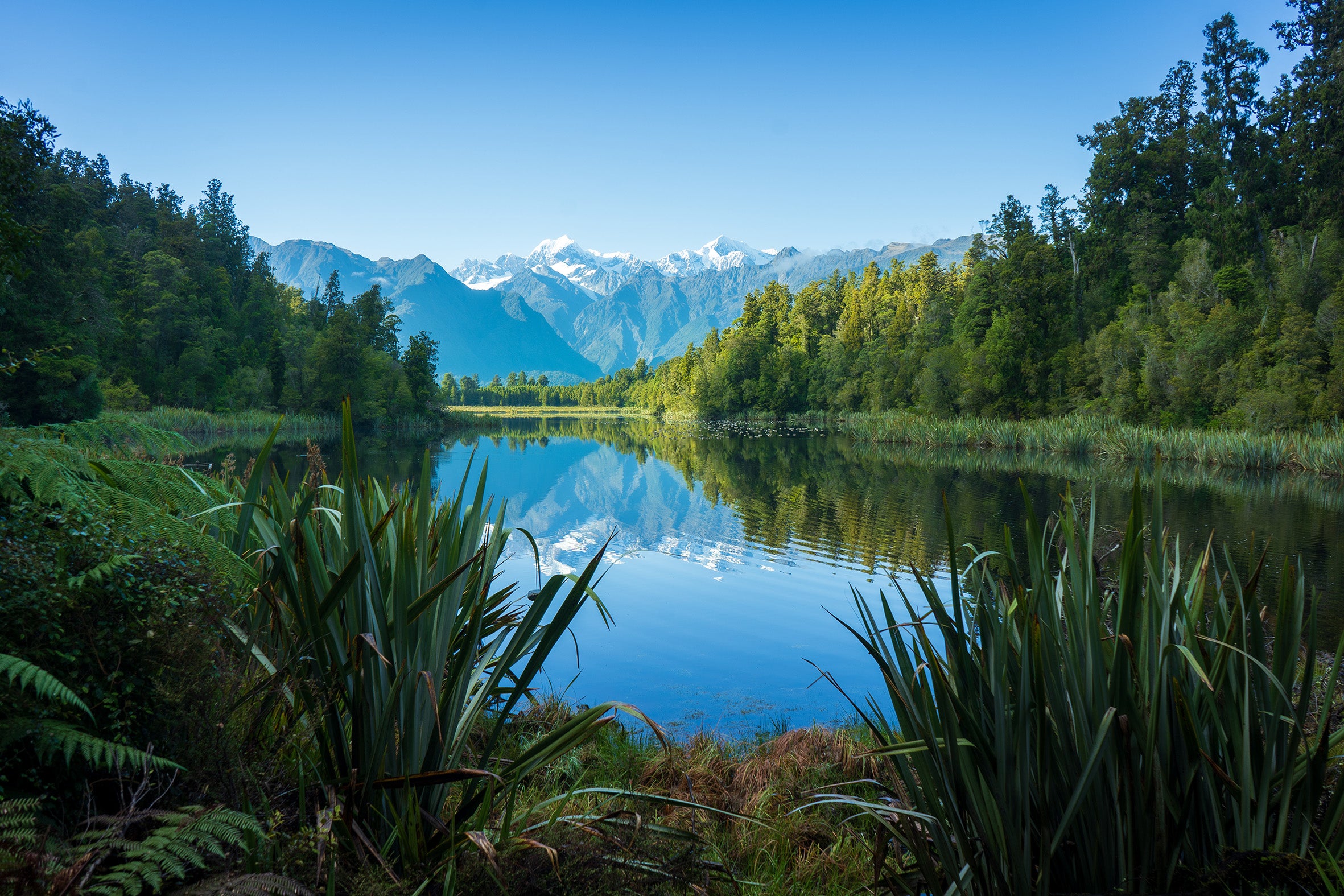 New Zealand 'South Island' Photo Tours 2026/2027 (12-Day)