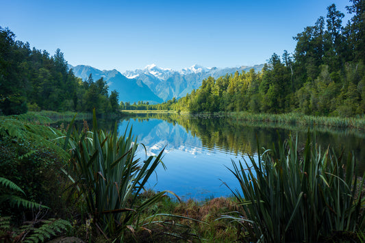 New Zealand 'South Island' Photo Tours 2026/2027 (12-Day)