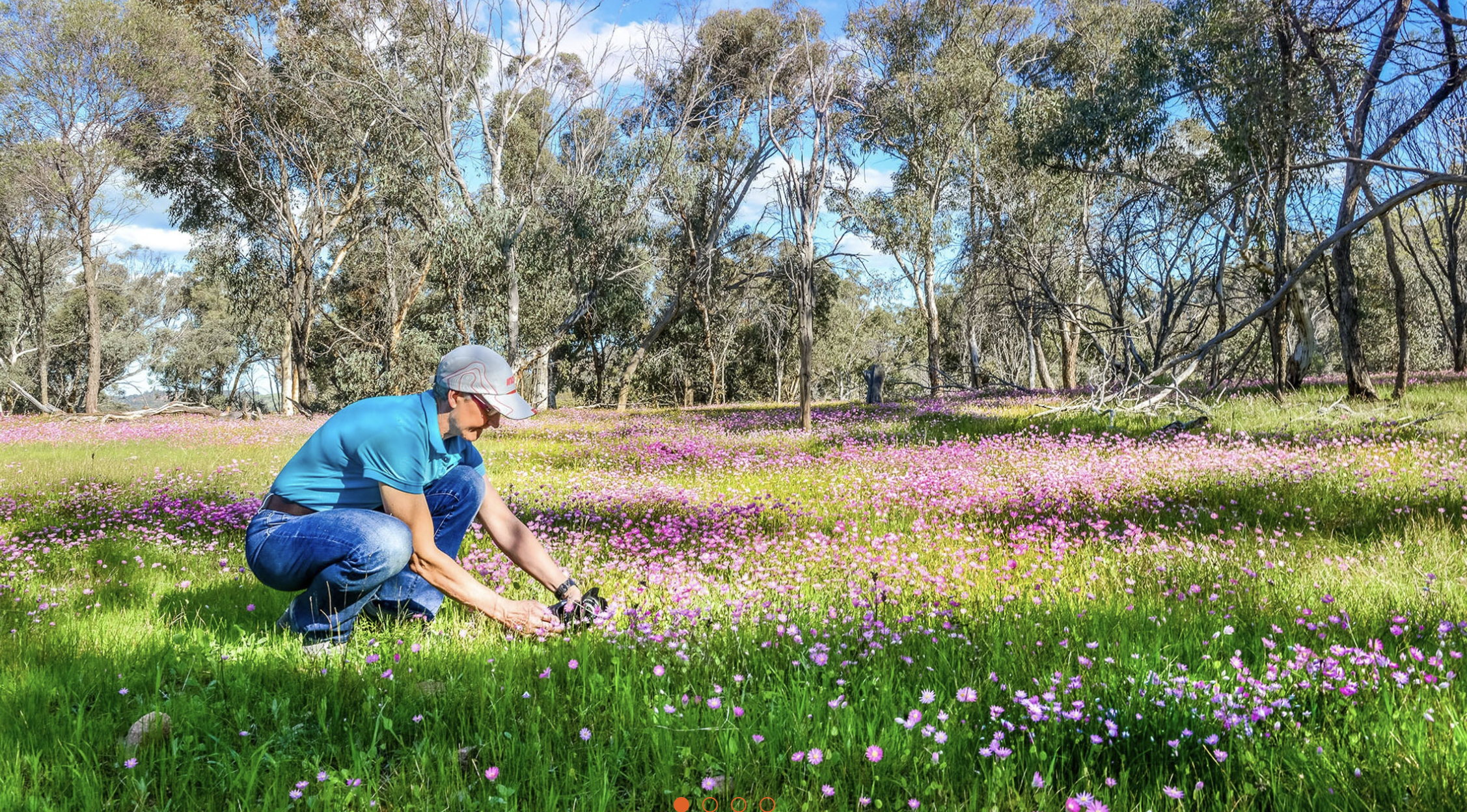 Swan Valley, New Norcia, Perth Day Tour 2026