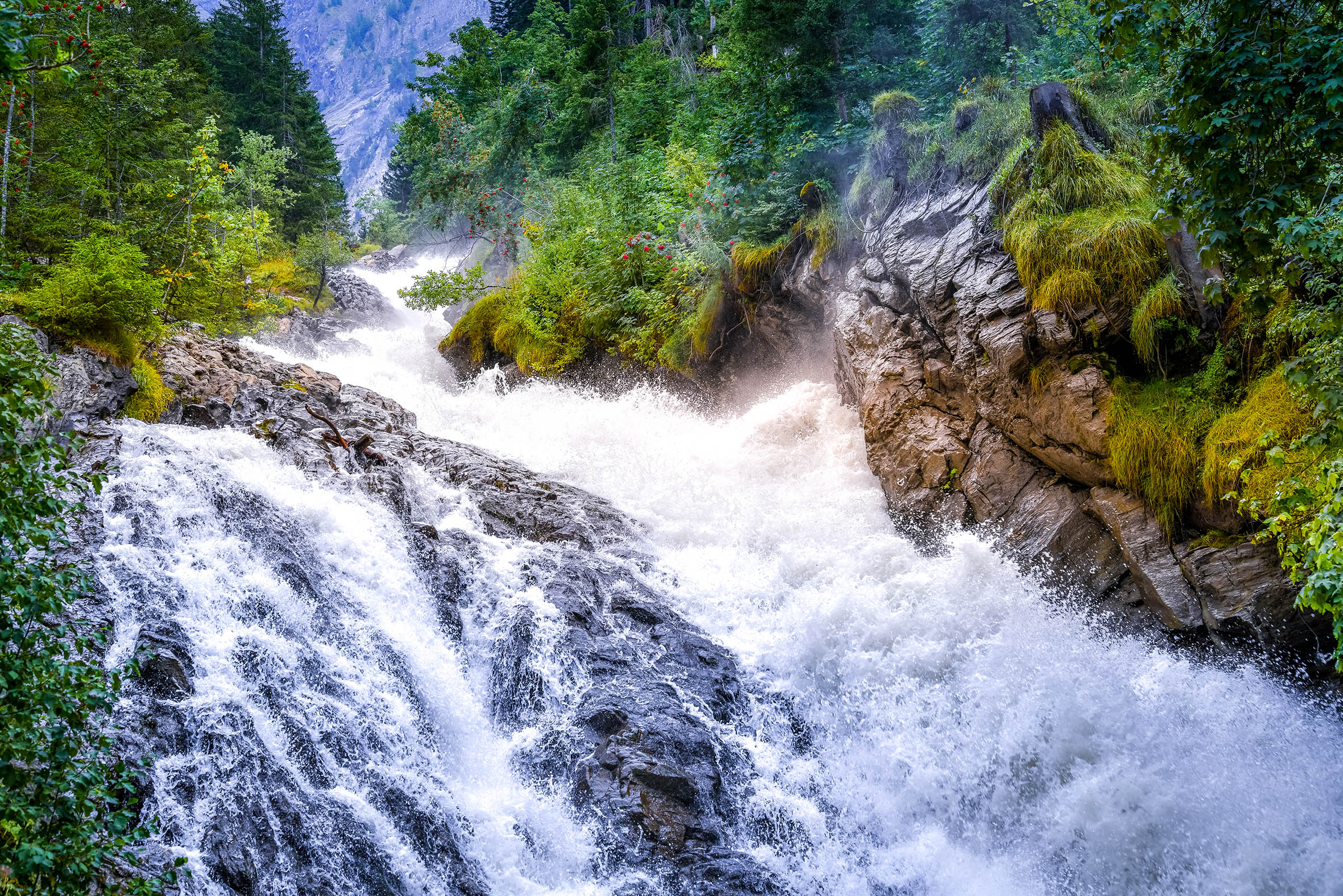 Swiss & French Alps 10-Day Photo Tour 2025 (Private)