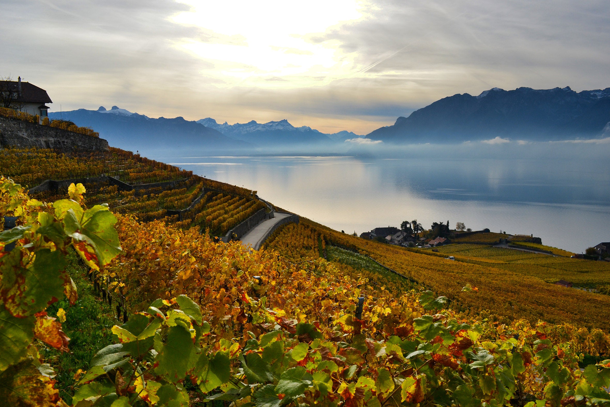 Swiss & French Alps 10-Day Photo Tour 2025 (Private)