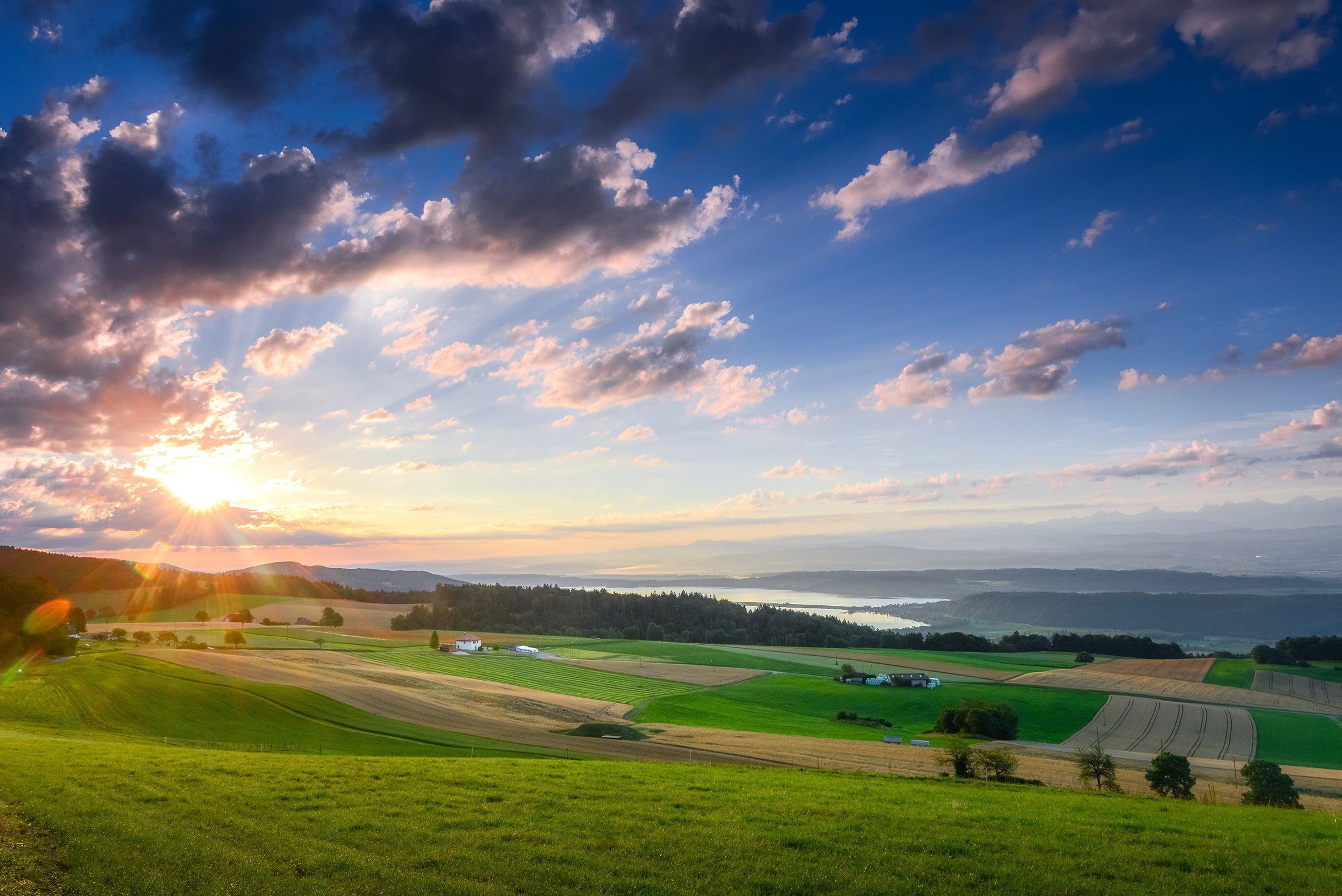 Swiss & French Alps 10-Day Photo Tour 2025 (Private)