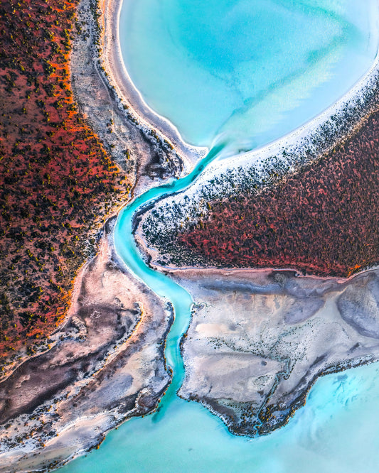 Shark Bay ‘Australia Coral Coast’ Photo Tour (7-Day)