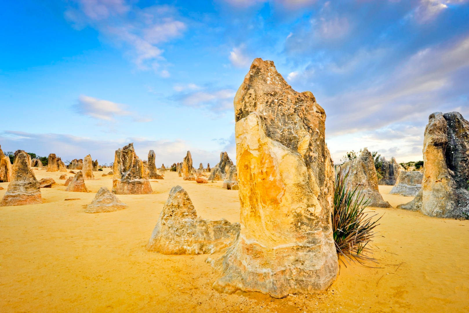 Pinnacles Sunset & Twilight Photography Tours