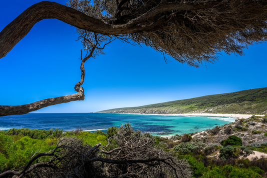 Australia’s Golden Outback 14-Day Tour 2025