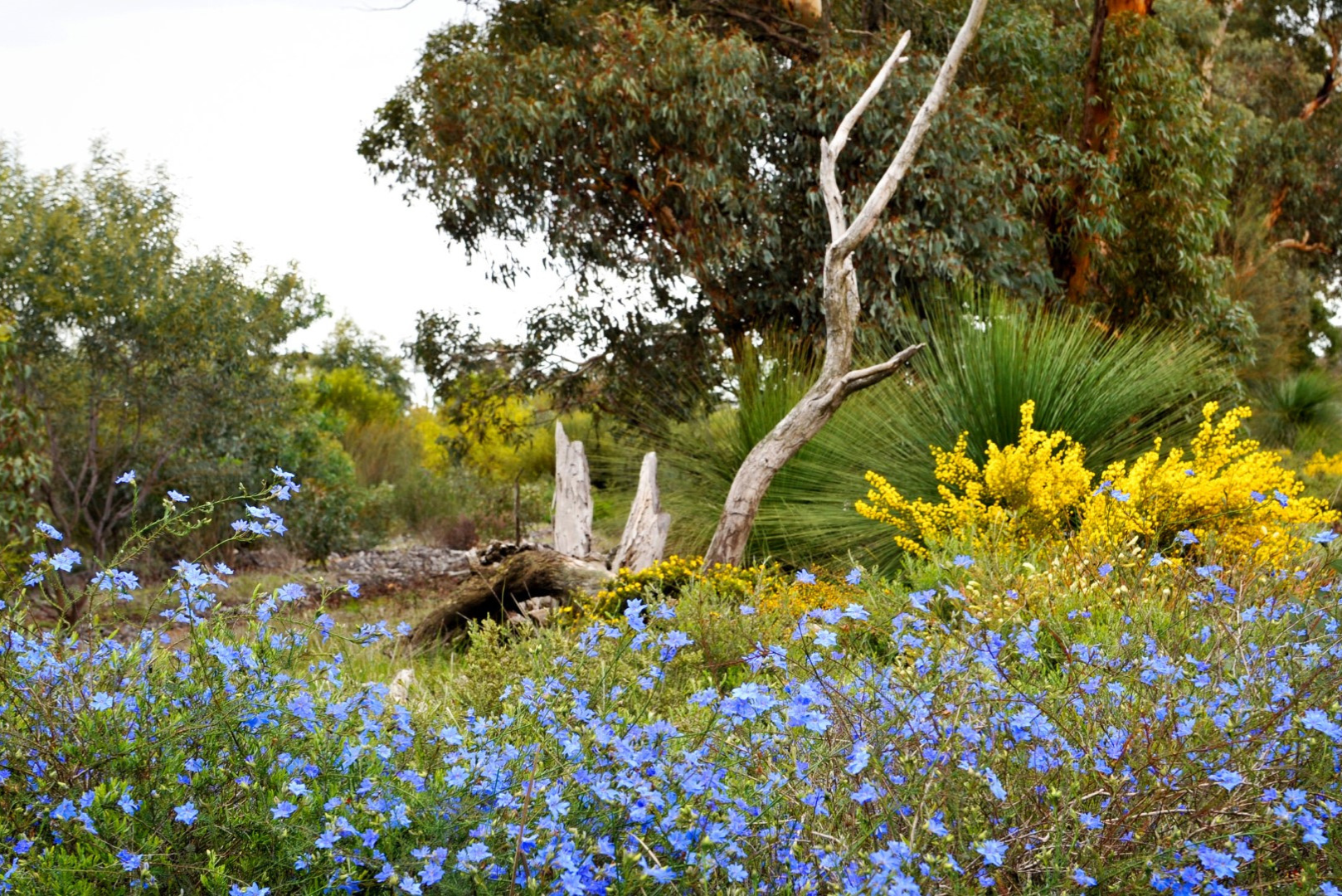 Pinnacles Grand Tour 3-Day