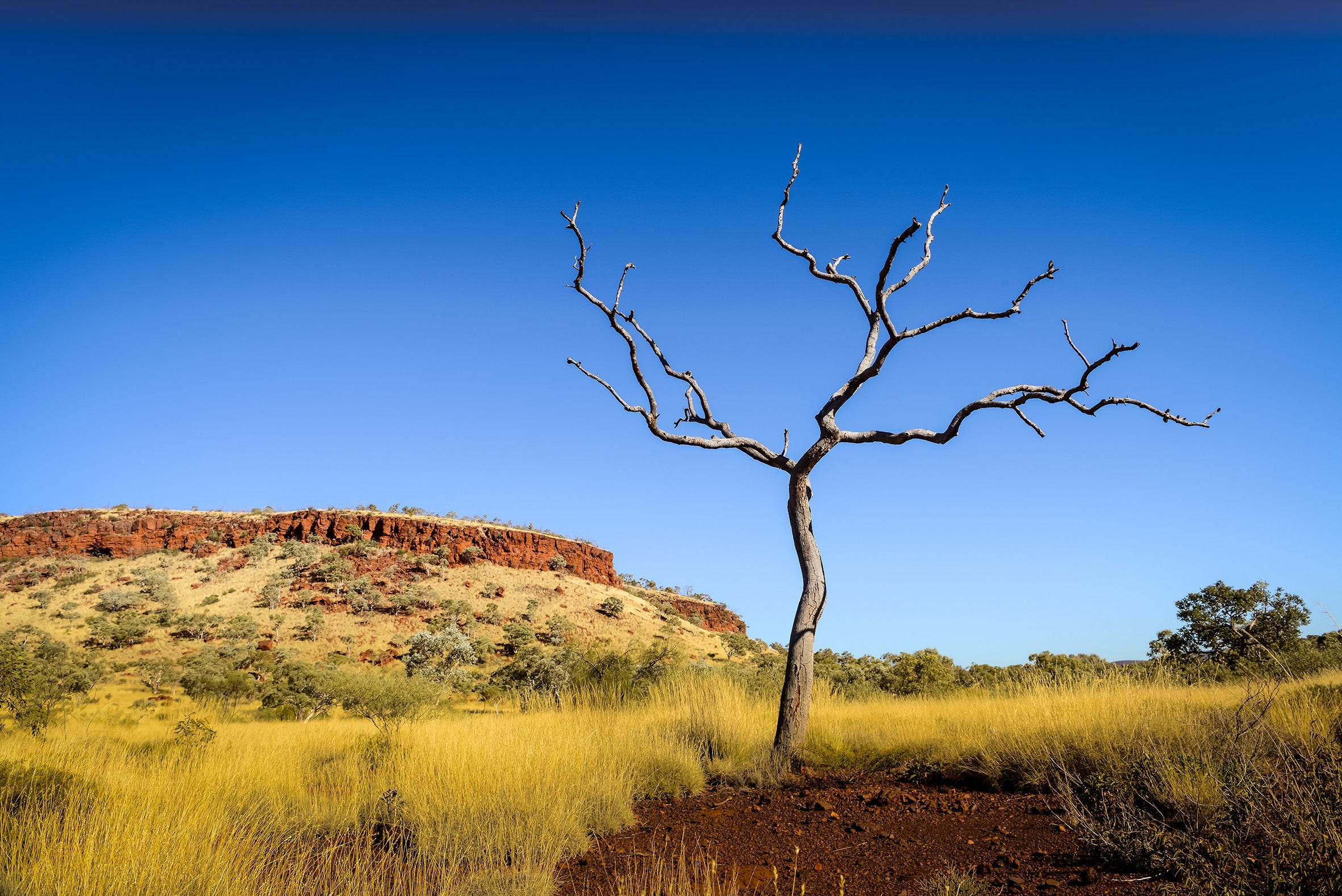 Karijini National Park Photography Tour 2025 (Private)