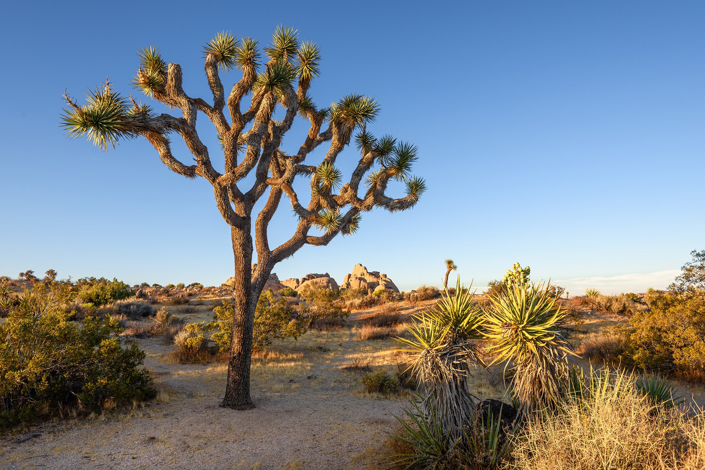Template: USA Canyonlands & National Parks 16-Day Tour