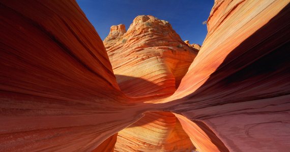 USA Canyon lands and National Parks