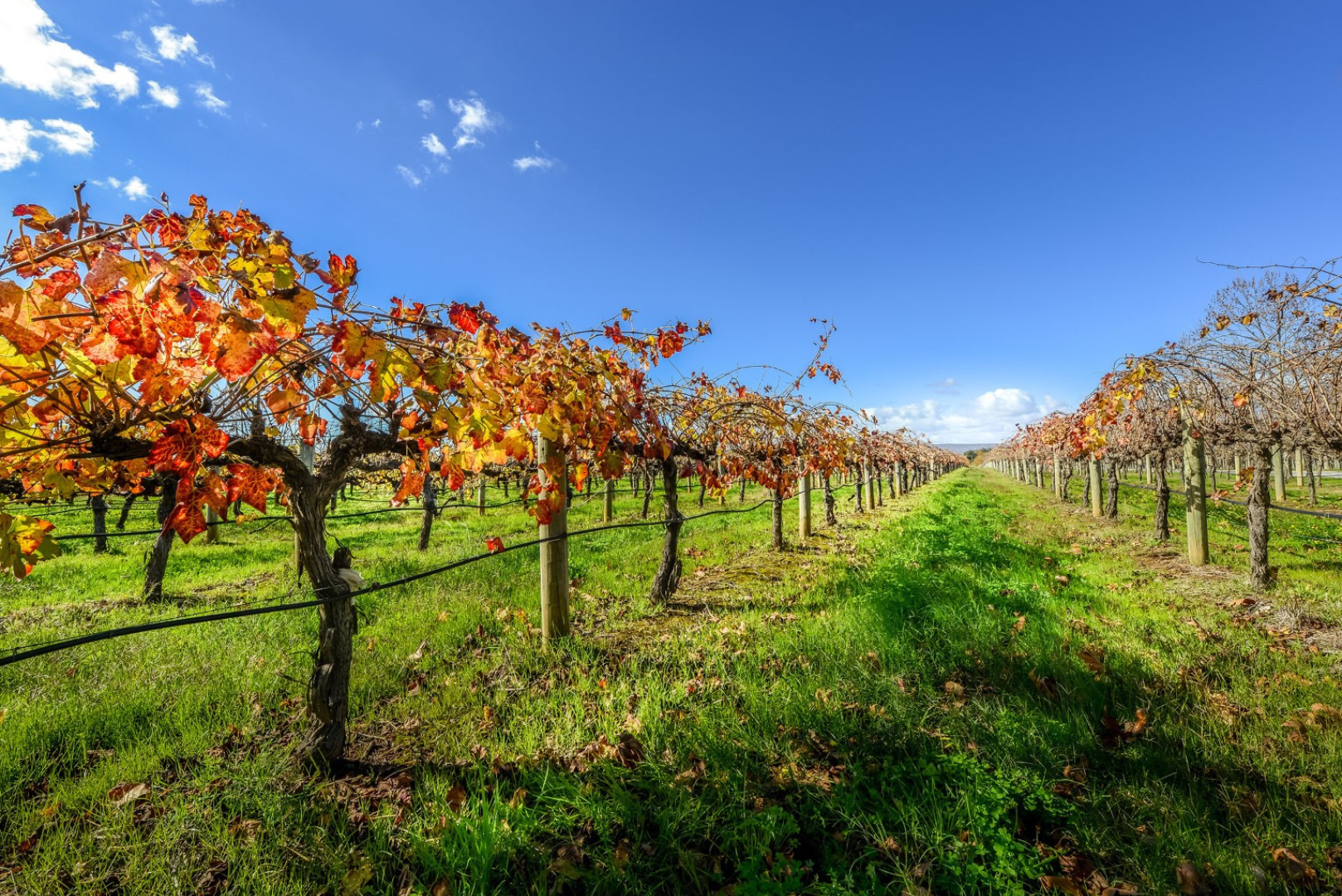 Margaret River And Southwest WA Photo Tour 2025/2026