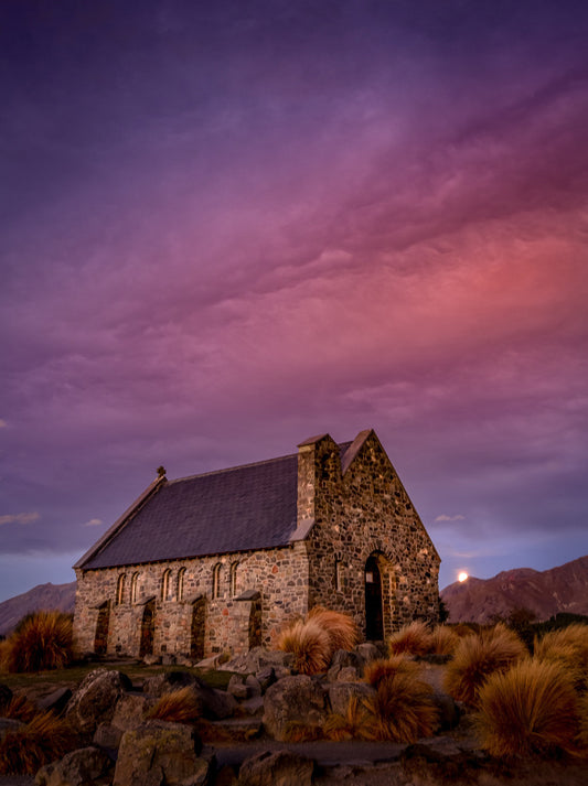 New Zealand 'South Island' Photo Tours 2026 (12-Day)