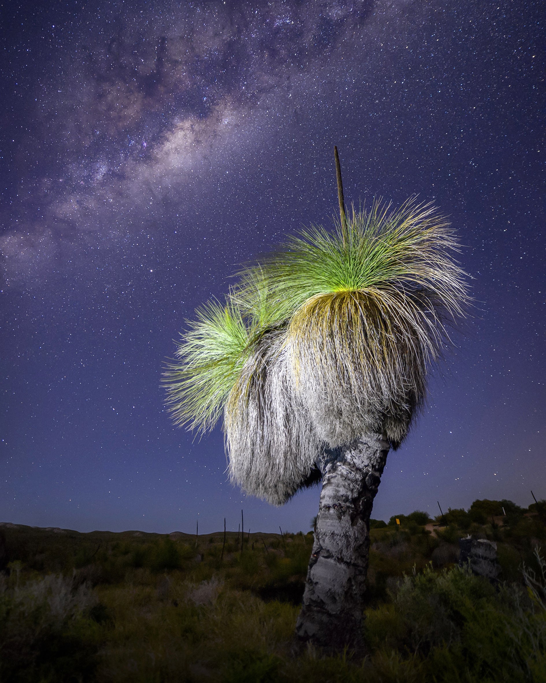 Pinnacles Sunset & Twilight Photography Tours