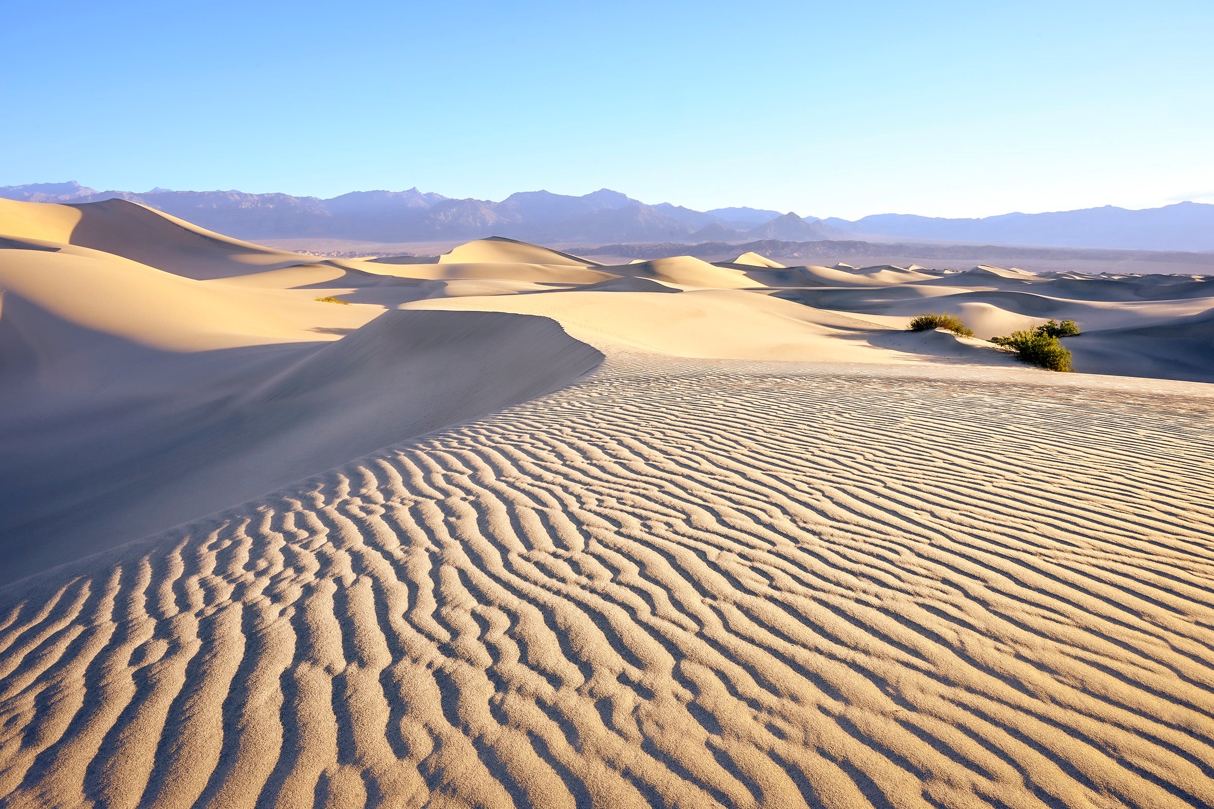 USA 2026 Death Valley 4-Day Workshop