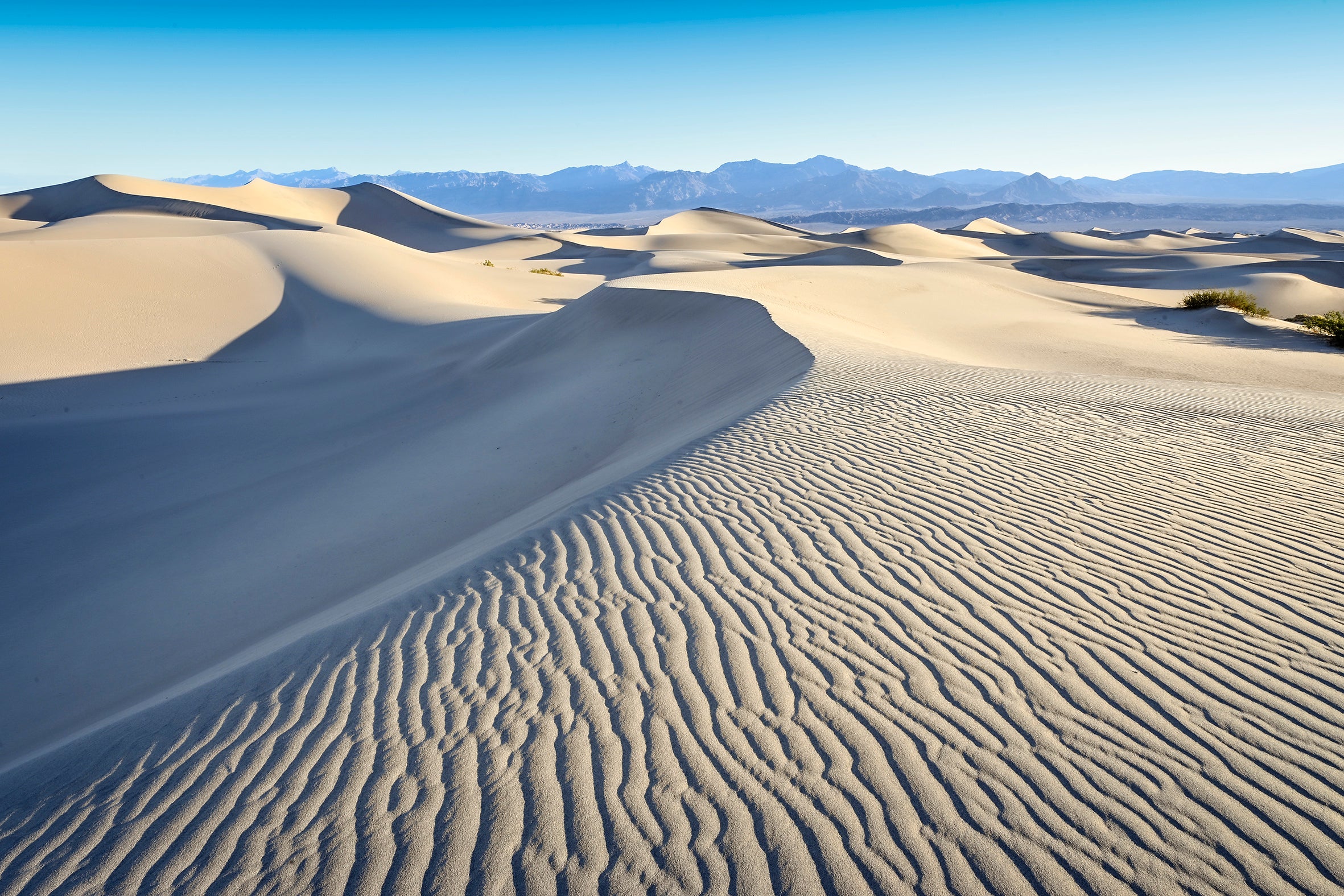 USA 2026 Death Valley 4-Day Workshop