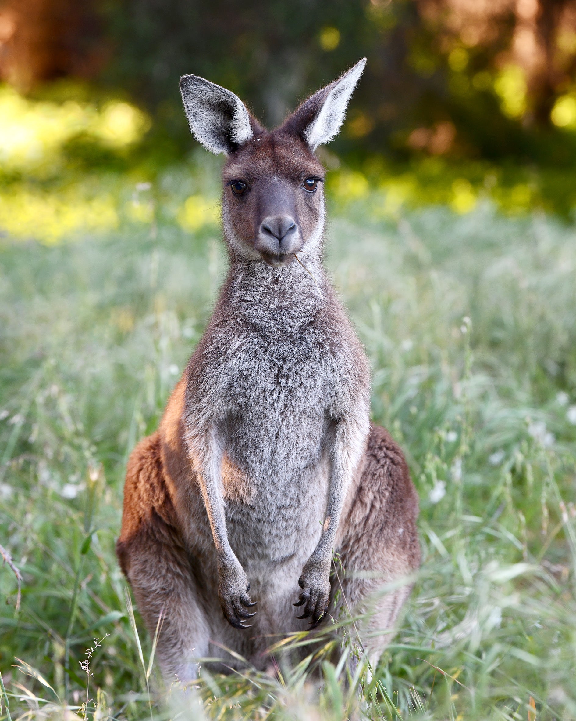 Winter 2025 - Perth Cityscape & Twilight Photography Tours
