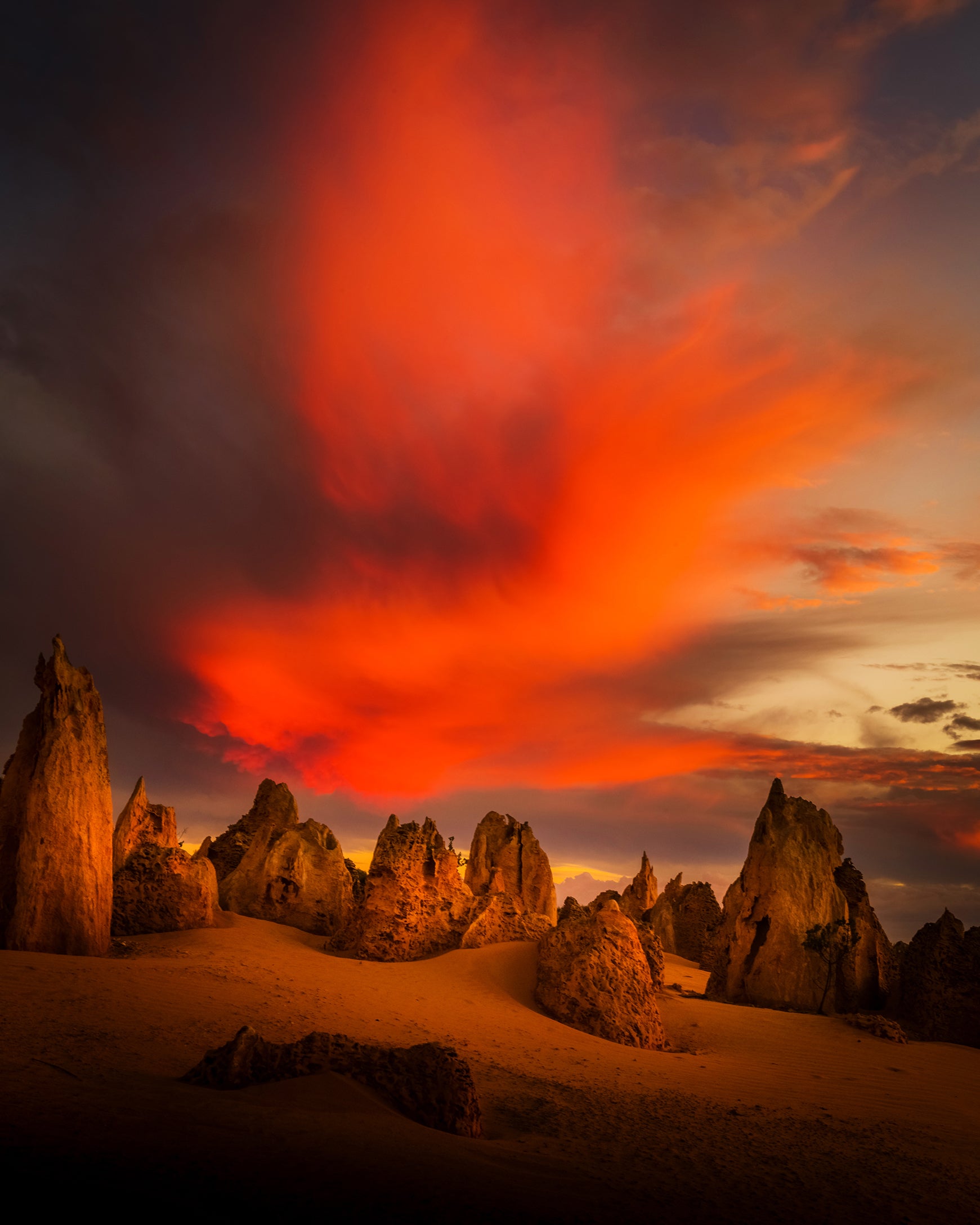 Pinnacles Sunset & Twilight Photography Tours