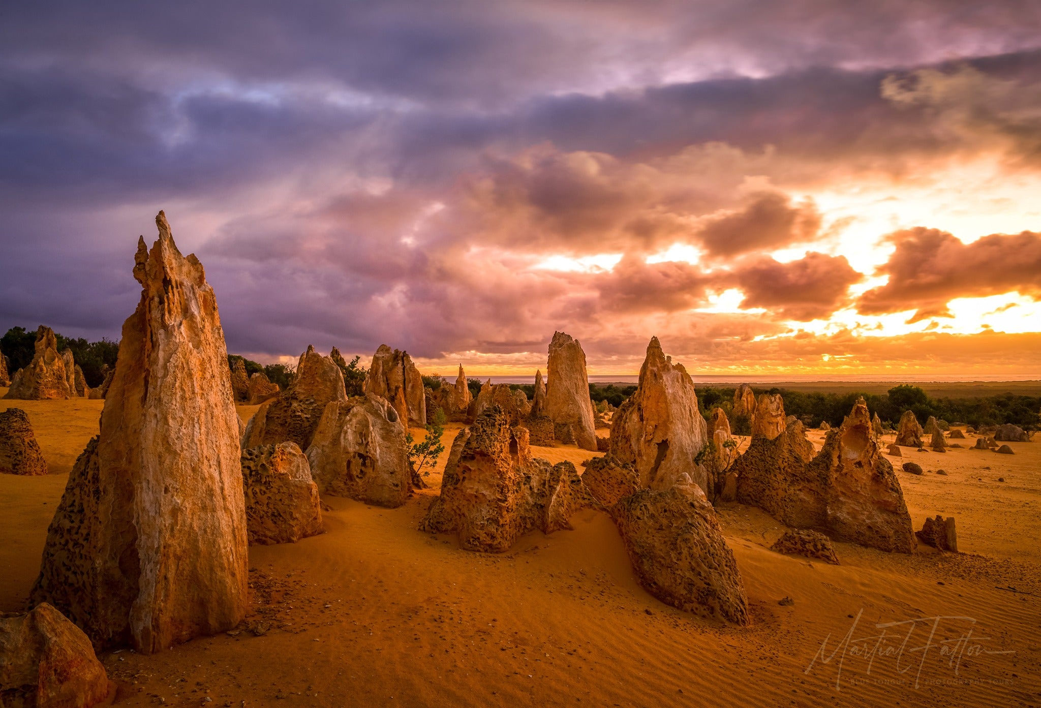 Pinnacles Sunset & Twilight Photography Tours