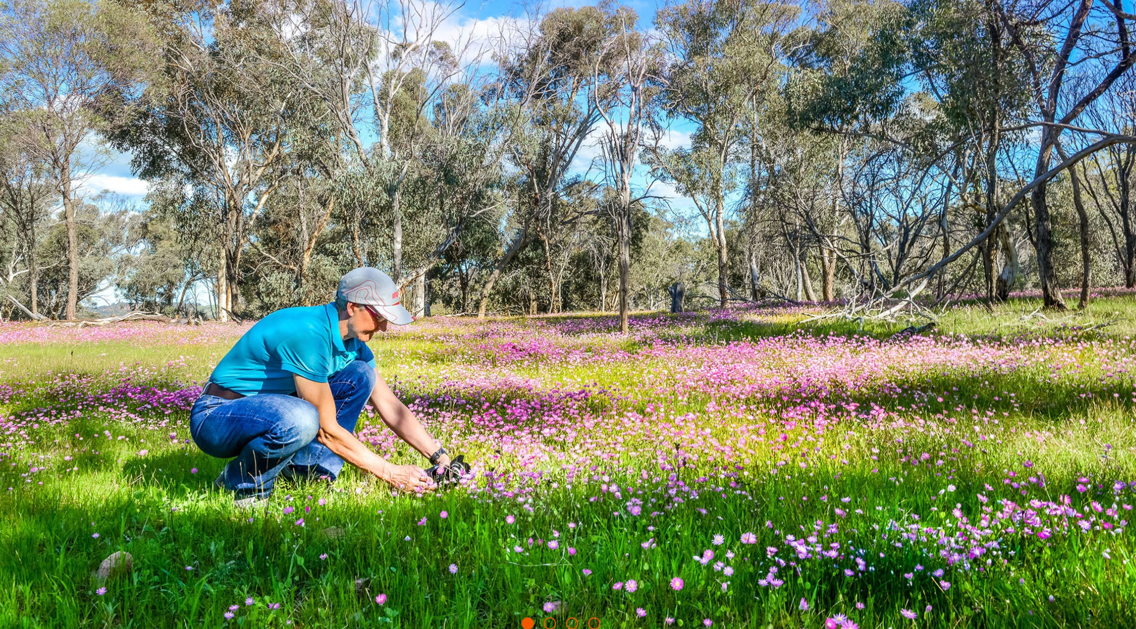 Swan Valley, New Norcia, Perth Day Tour 2026