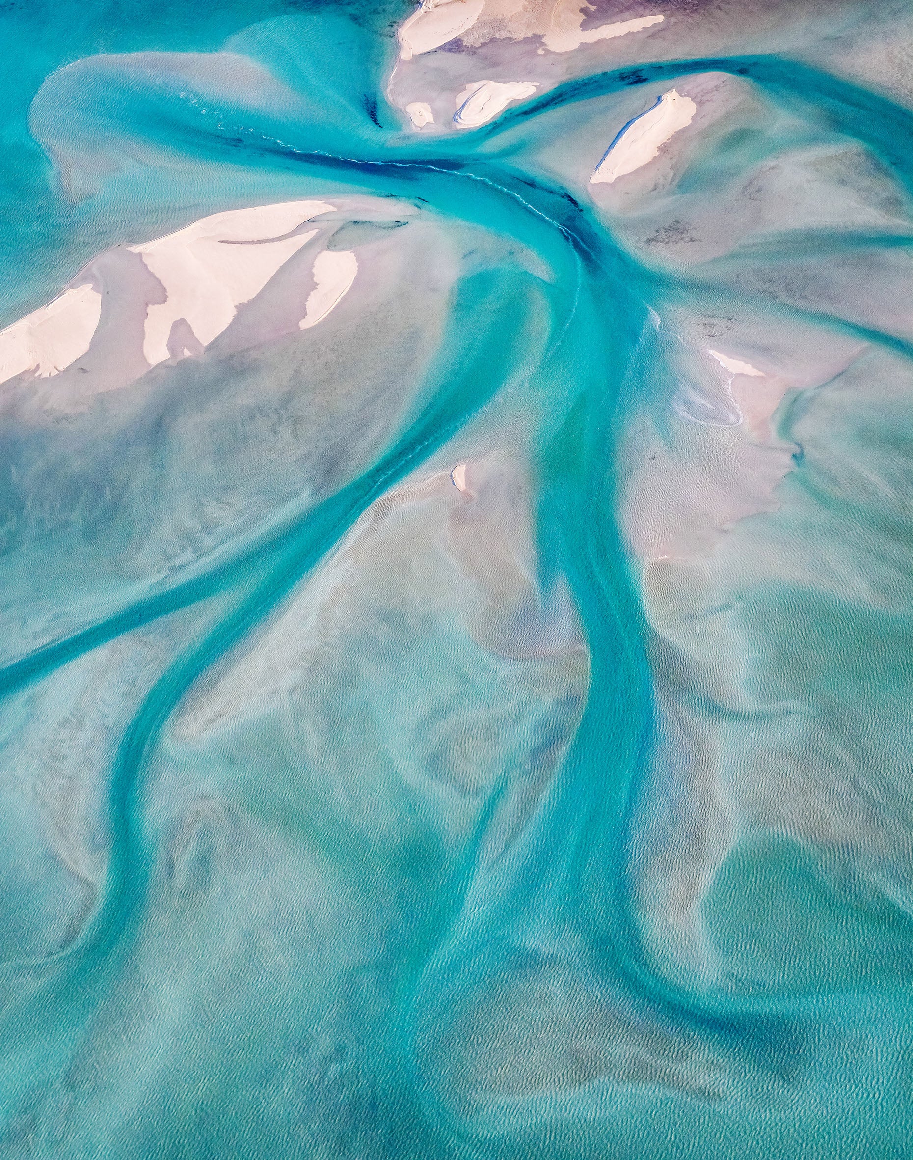 Shark Bay ‘Australia Coral Coast’ Photo Tour (7-Day)