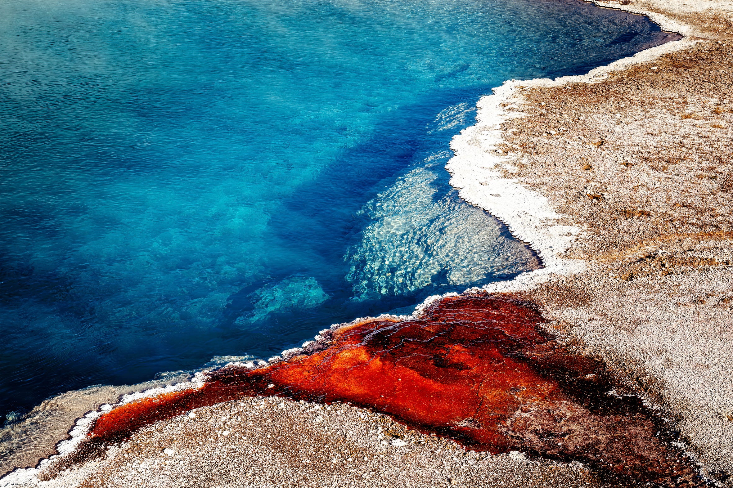 USA 2026 Yellowstone National Park 14-Day Tour