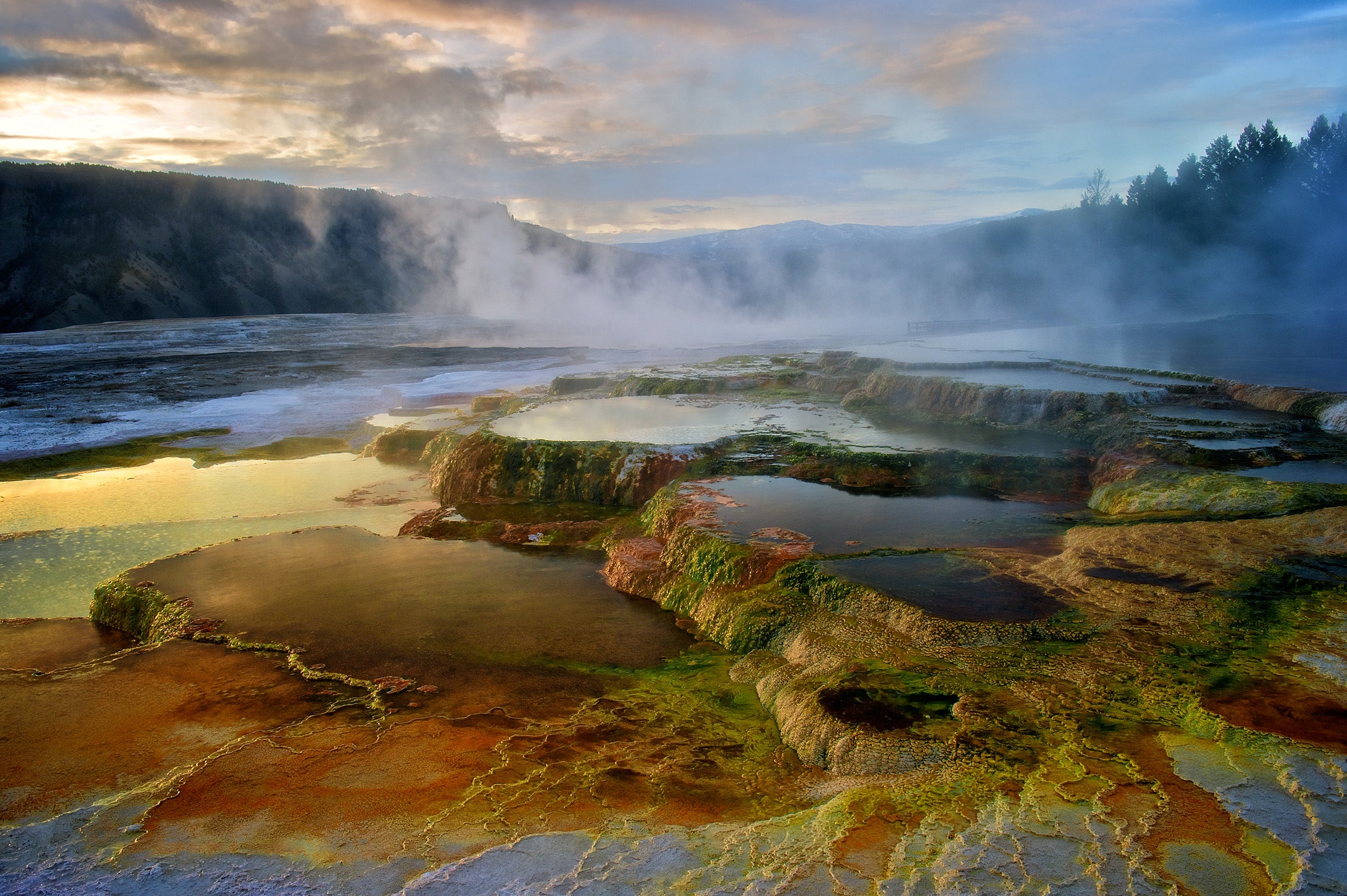 USA 2026 Yellowstone National Park 14-Day Tour