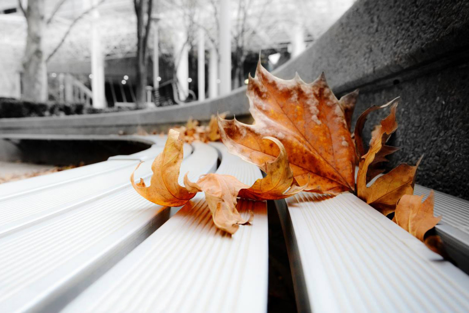 DSLR Photography 'Multi-Day' Courses & Workshops