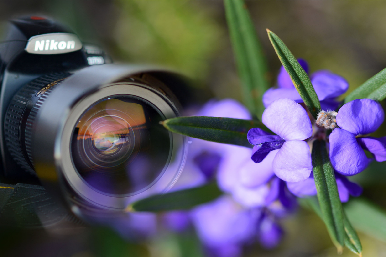 DSLR Photography 'Multi-Day' Courses & Workshops