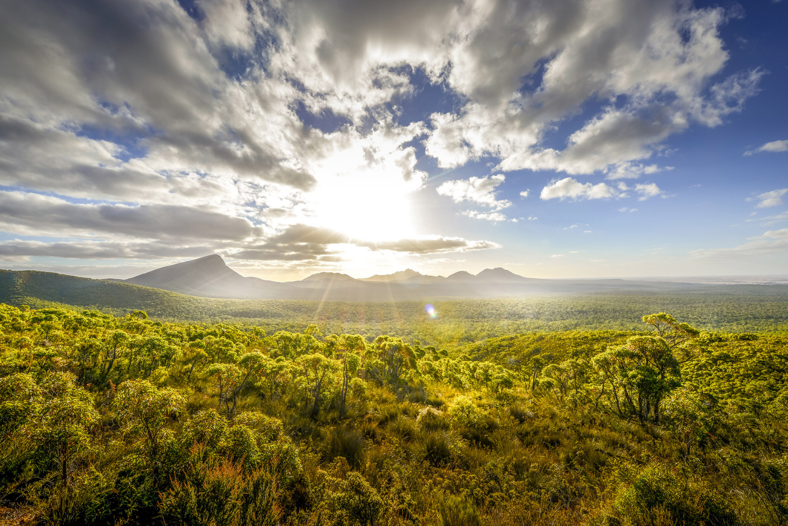 Australia’s Golden Outback 14-Day Tour 2025 (Private)