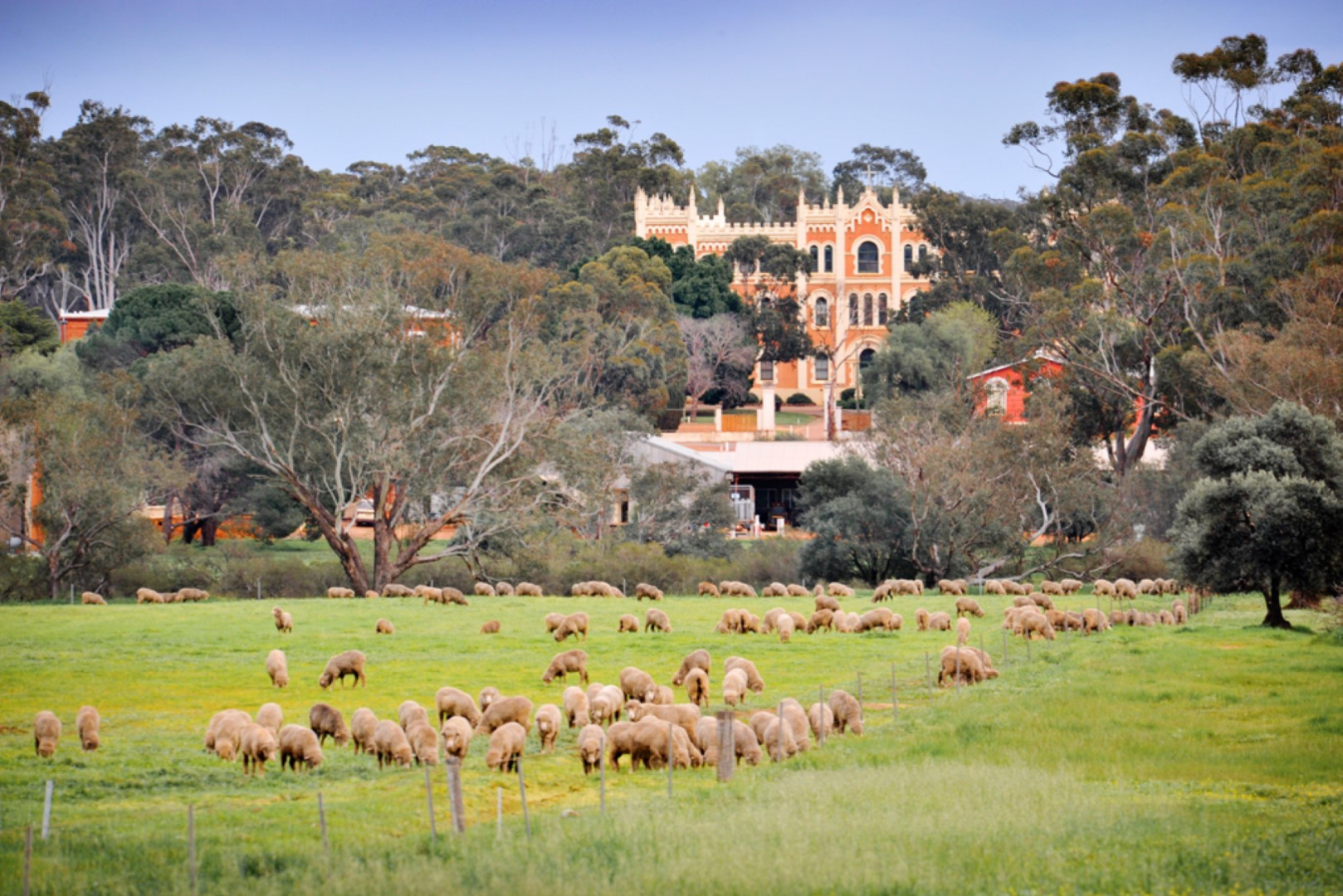 Pinnacles Grand Tour 2025 (Private)