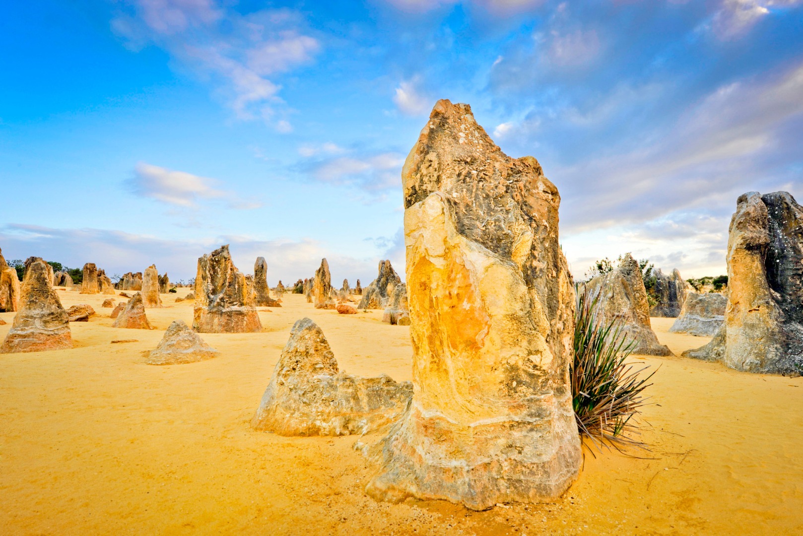 Pinnacles Desert Day Photo Tour 2025