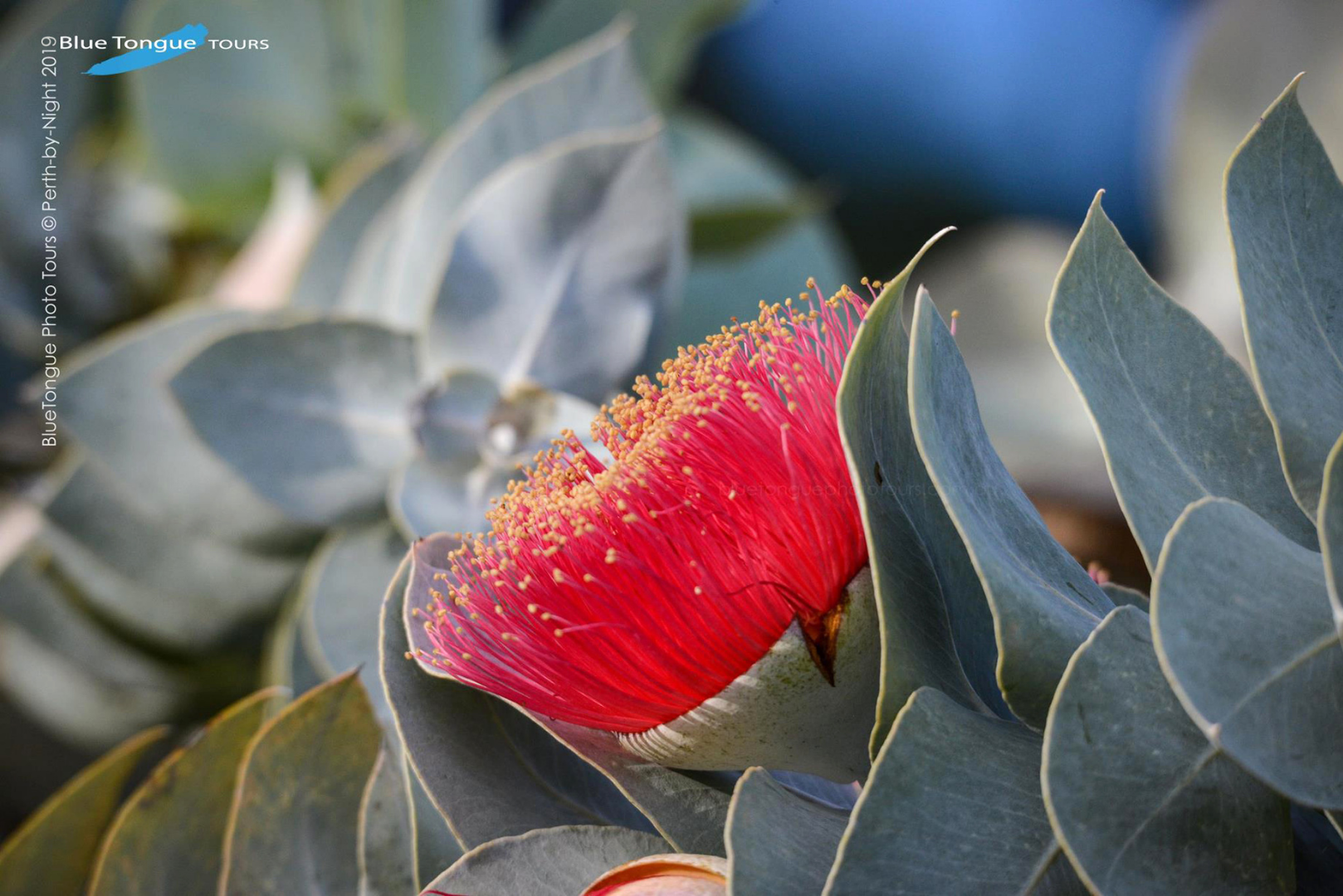 DSLR Photography 'Multi-Day' Courses & Workshops