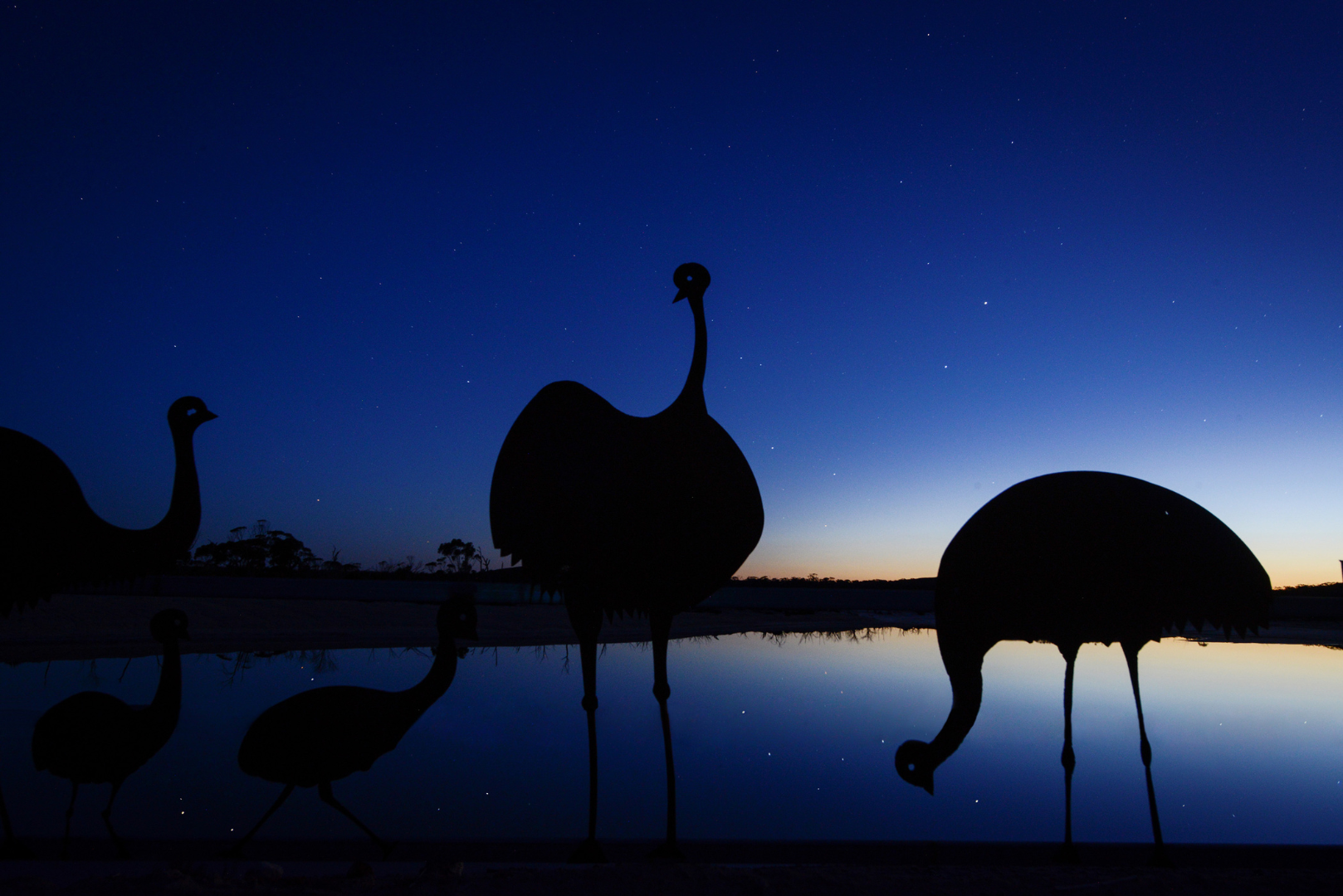 Wave Rock 3-Day Photo Tour (4-Day Option) 2025/2026