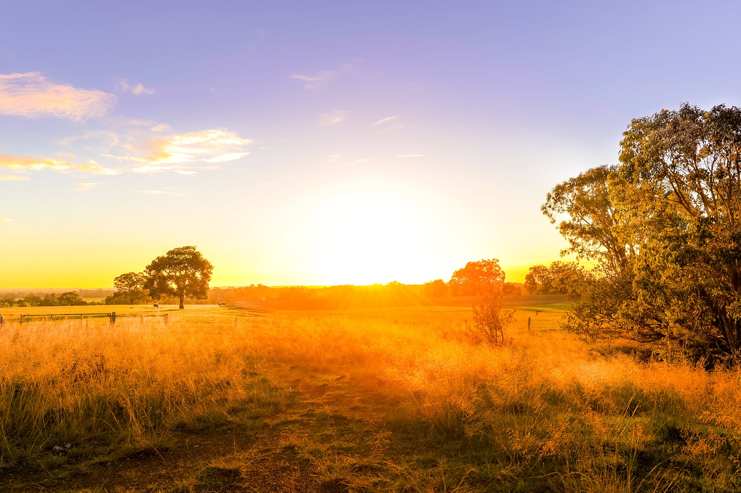 Australia’s Golden Outback 14-Day Tour 2025 (Private)