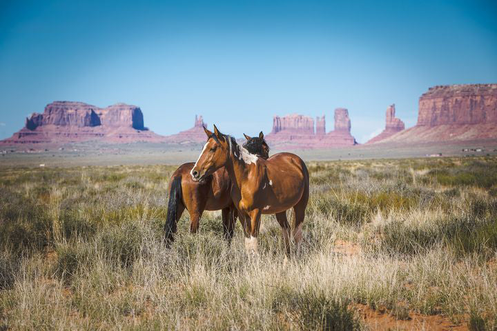 Template: USA Canyonlands & National Parks 16-Day Tour