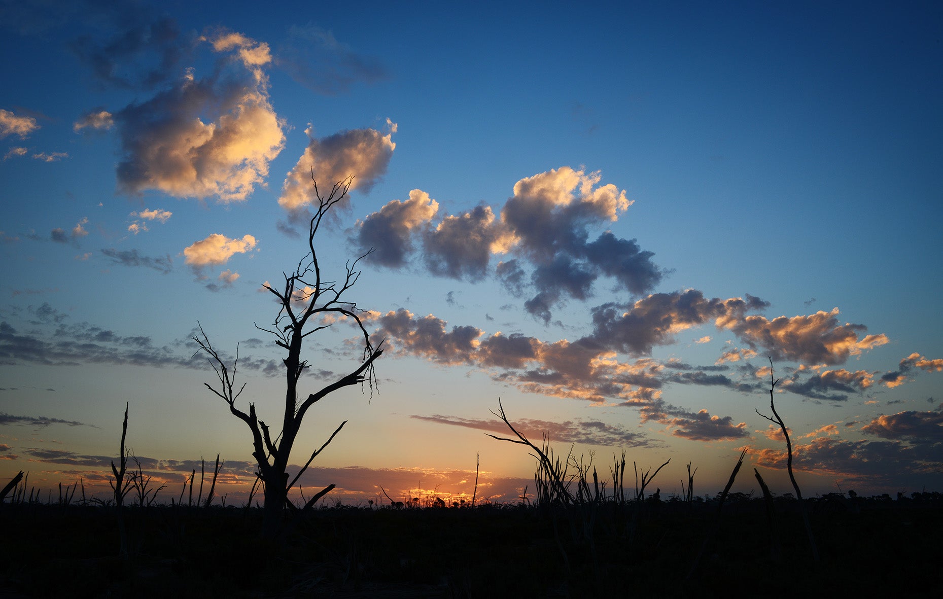 Australia’s Golden Outback 14-Day Tour 2025 (Private)