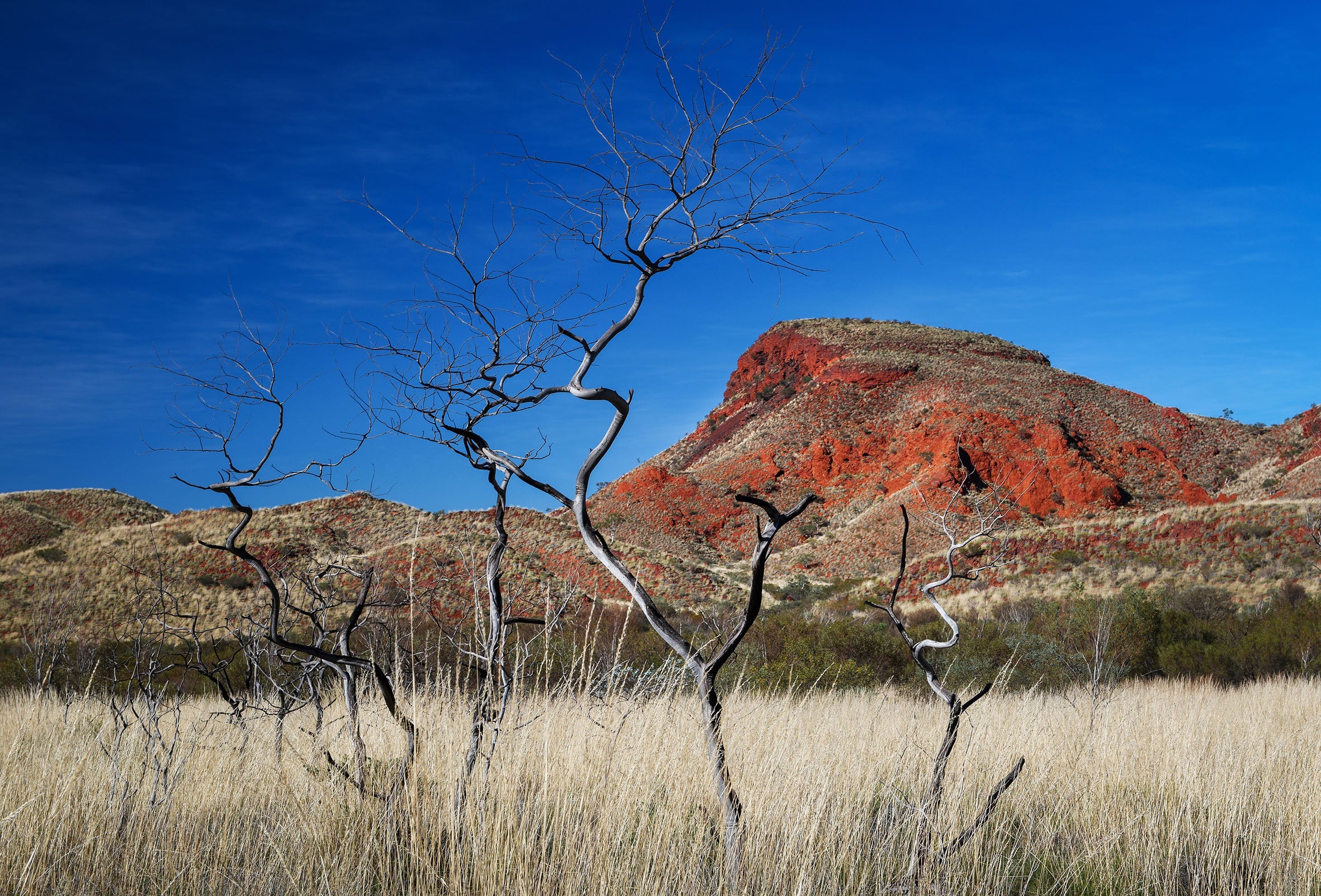 Karijini National Park Photography Tour 2025 (Private)