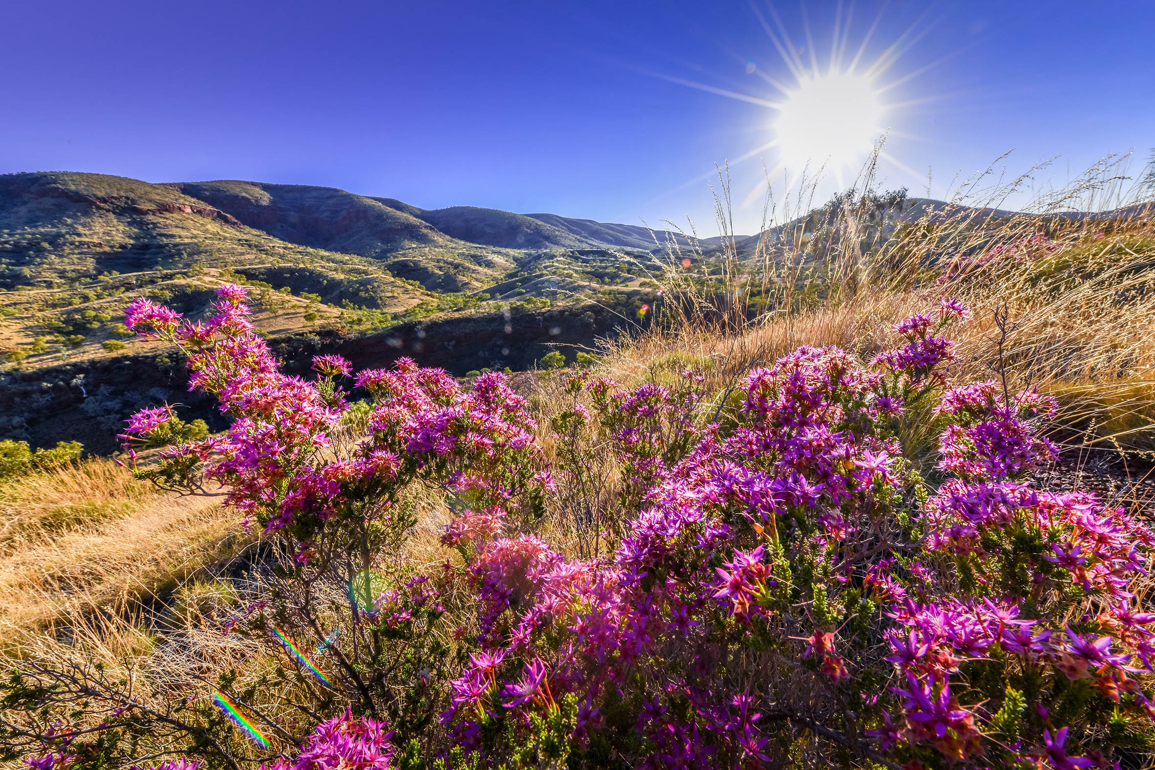 Karijini National Park Photography Tour 2025 (Private)