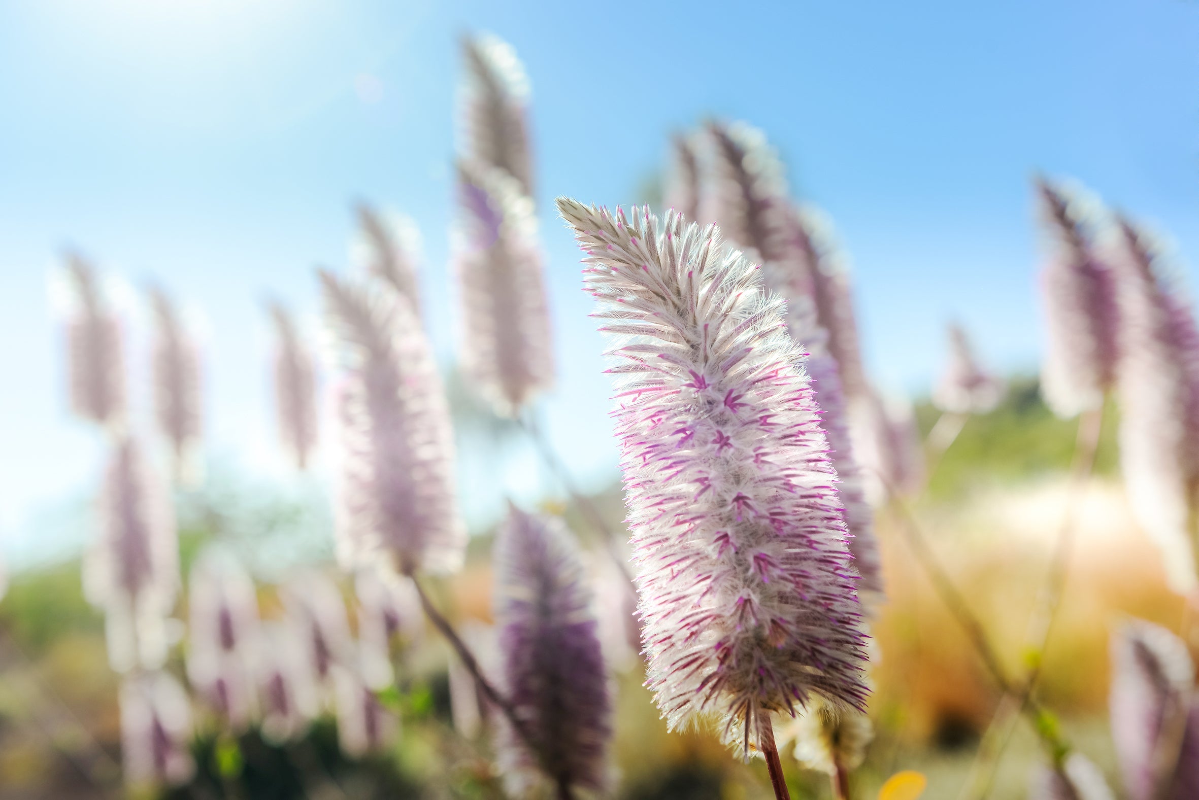 Karijini National Park Photography Tour 2025 (Private)