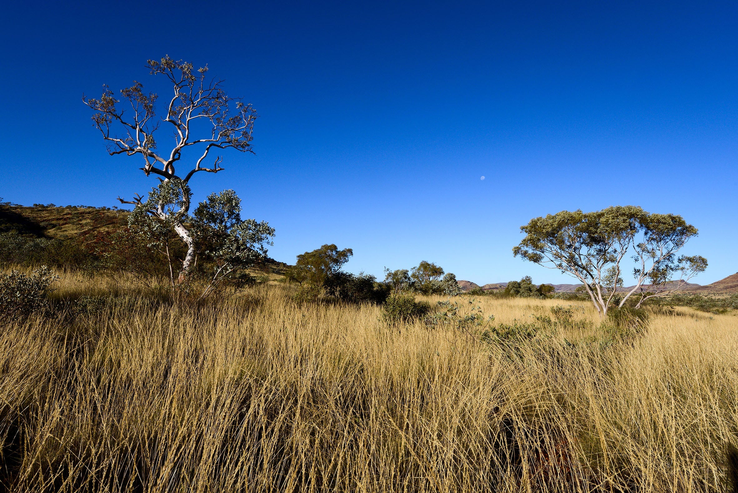 Karijini National Park Photography Tour 2025 (Private)