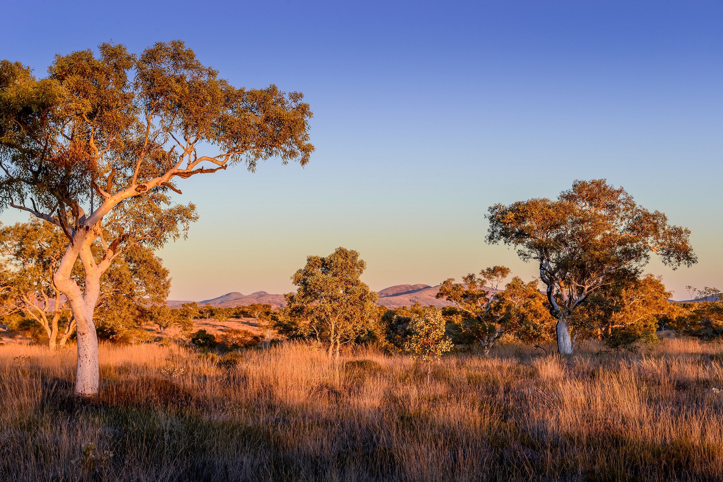 Karijini National Park Photography Tour 2025 (Private)