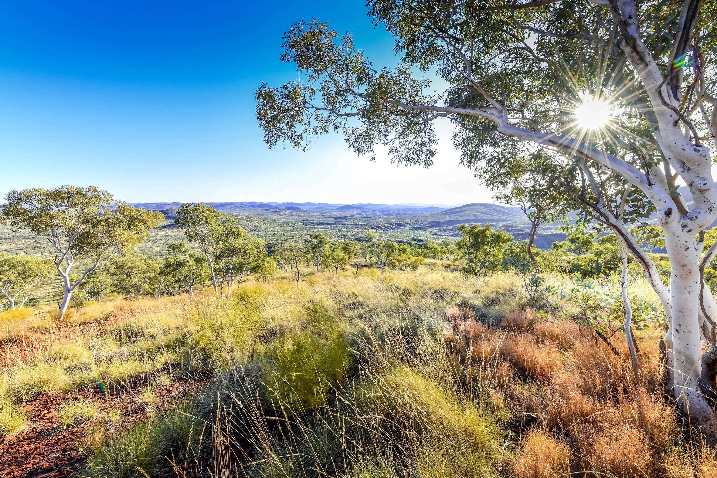 Karijini National Park Photography Tour 2025 (Private)