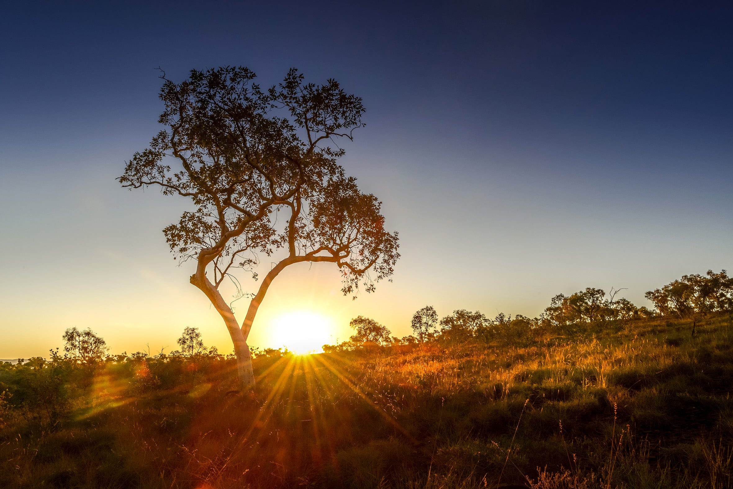 Karijini National Park Photography Tour 2025 (Private)