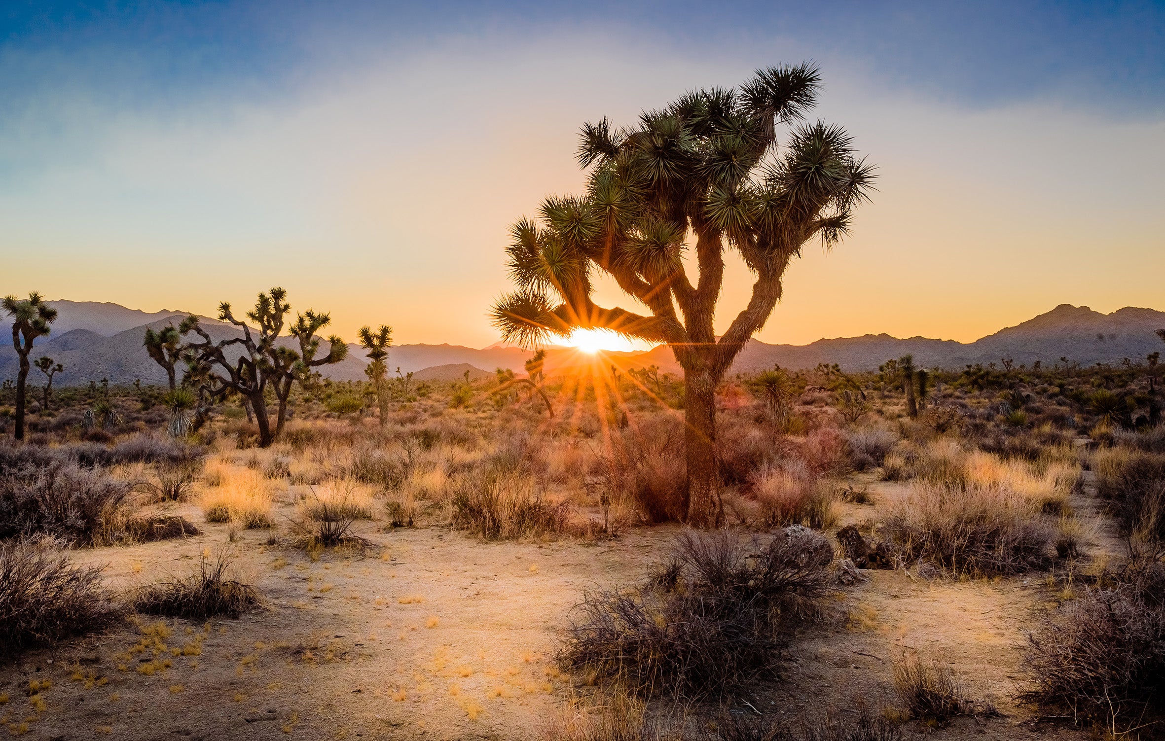 Template: USA Canyonlands & National Parks 16-Day Tour