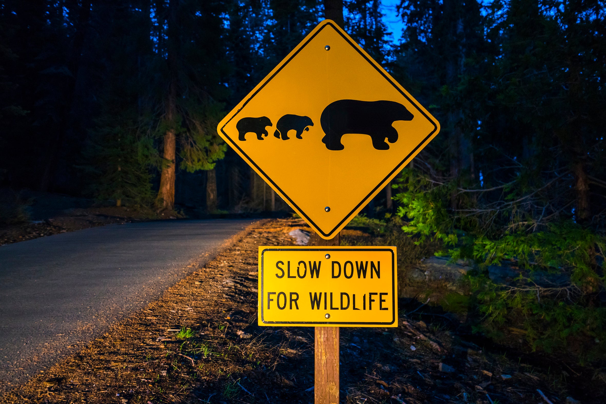 Template: USA Canyonlands & National Parks 16-Day Tour